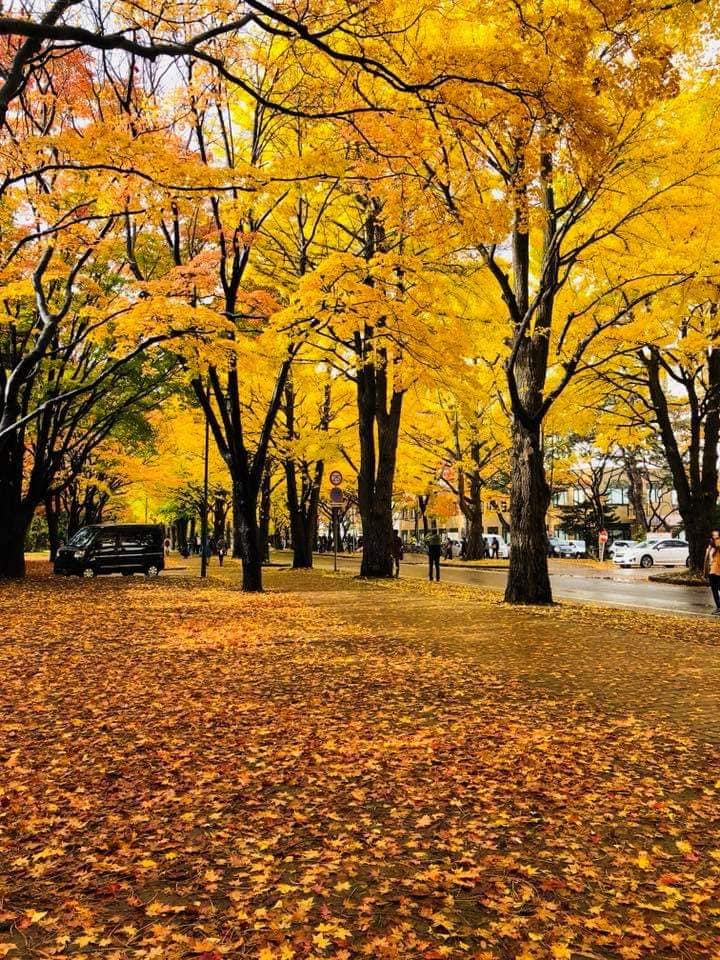 深度漫遊愛關西~溫泉品茗樂遊趣 + 大阪環球影城 八日